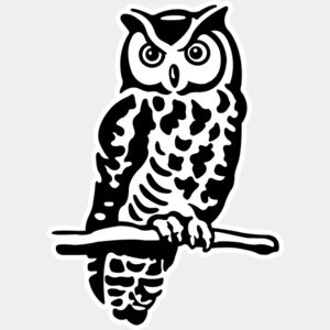 Owl 2 Thumbnail