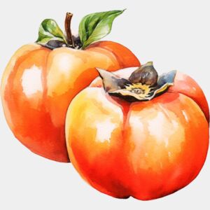 Persimmon Thumbnail