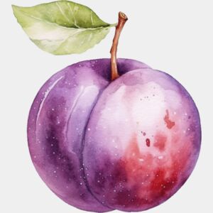 Plum Thumbnail