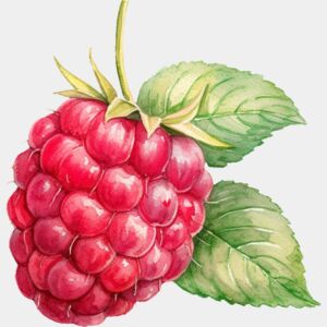 Raspberry Thumbnail