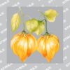 Subli Blocking - UltraColour 10 x 10cm Heat Transfer Thumbnail